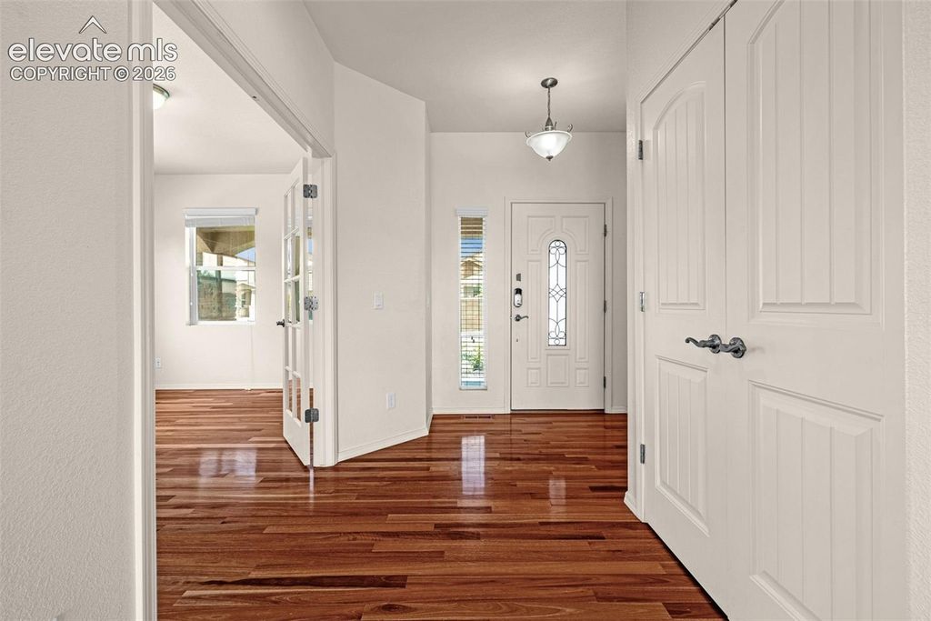 5917 Fergus Drive, Colorado Springs, CO 80924 — photo 4