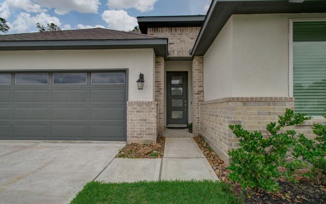 10011 Angelina Woods Lane, Conroe, TX 77384