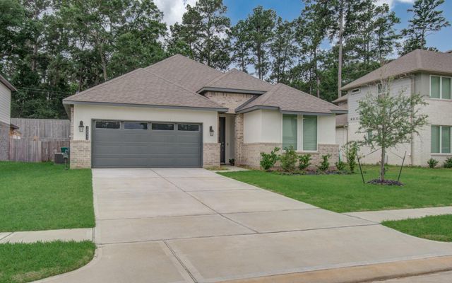 10011 Angelina Woods Lane, Conroe, TX 77384