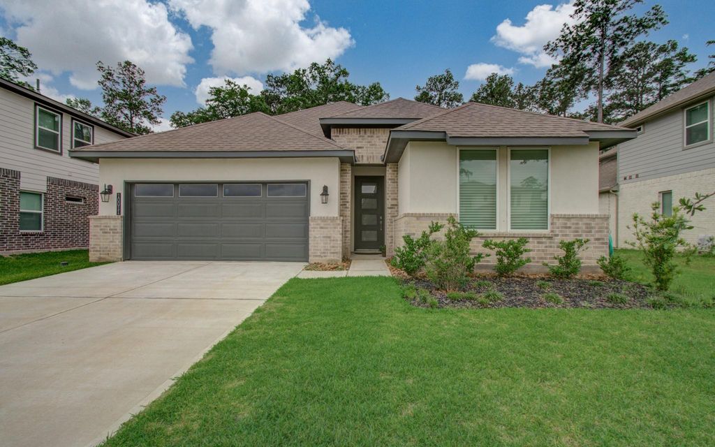 10011 Angelina Woods Lane, Conroe, TX 77384