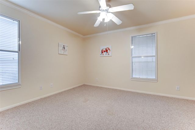2255 Braeswood Park Drive 235, Houston, TX 77030