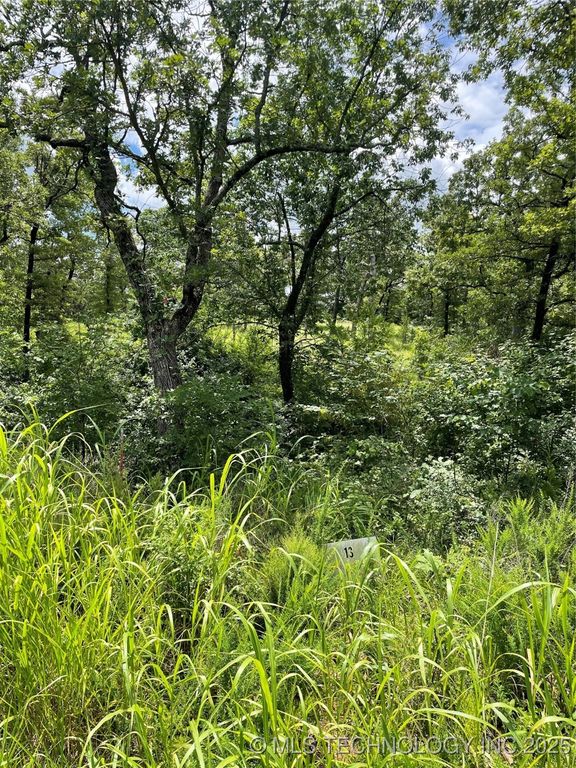 13 S Scissortail, Sulphur, OK 73086