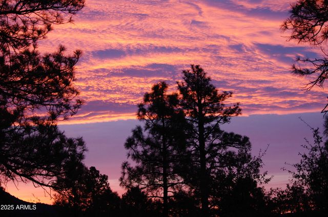 4558 N MOONGLOW Lane, Pine, AZ 85544