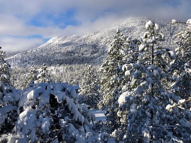 4558 N MOONGLOW Lane, Pine, AZ 85544