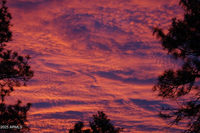 4558 N MOONGLOW Lane, Pine, AZ 85544