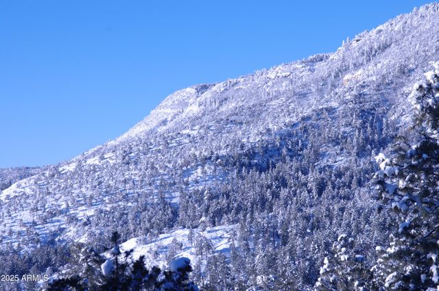 4558 N MOONGLOW Lane, Pine, AZ 85544