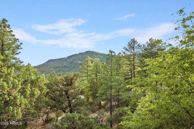 4558 N MOONGLOW Lane, Pine, AZ 85544