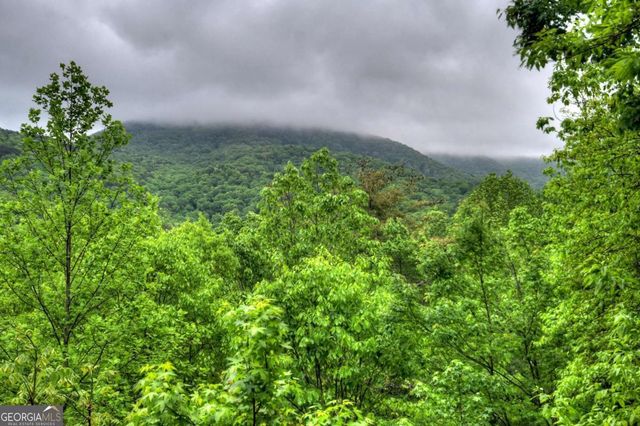 1582 Little Rock Creek Road, Cherry Log, GA 30522