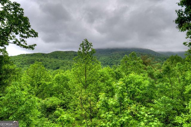 1582 Little Rock Creek Road, Cherry Log, GA 30522
