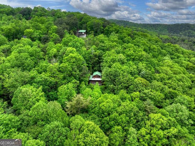 1582 Little Rock Creek Road, Cherry Log, GA 30522