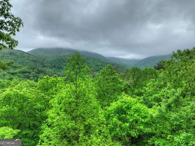 1582 Little Rock Creek Road, Cherry Log, GA 30522