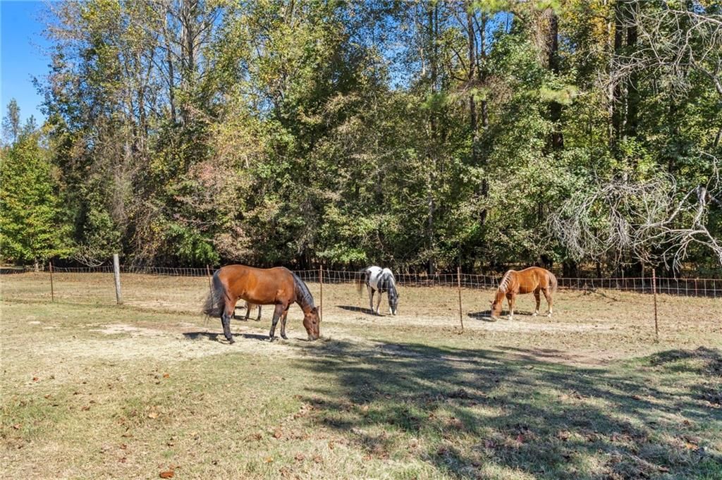 Image 20 of property listing at 7790 Atlanta Newnan Road, Chattahoochee Hills, GA 30268