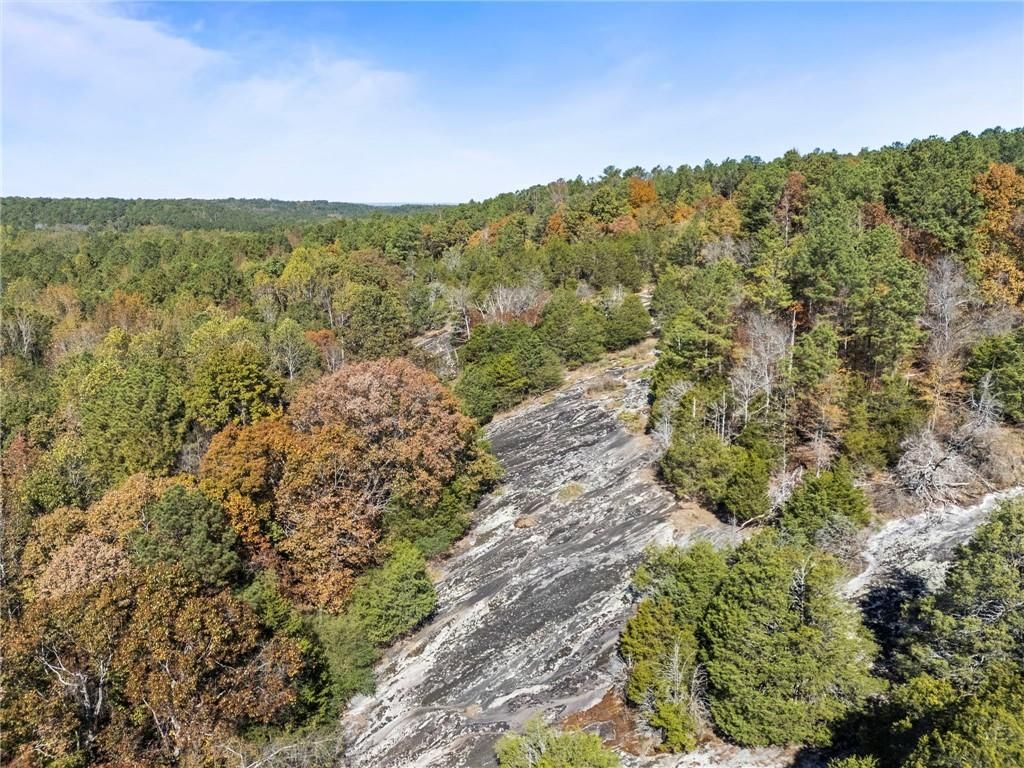Image 22 of property listing at 7790 Atlanta Newnan Road, Chattahoochee Hills, GA 30268