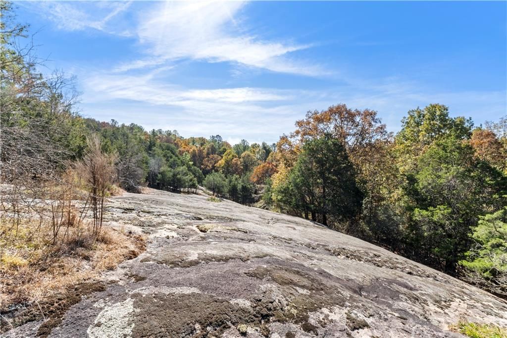 Image 23 of property listing at 7790 Atlanta Newnan Road, Chattahoochee Hills, GA 30268