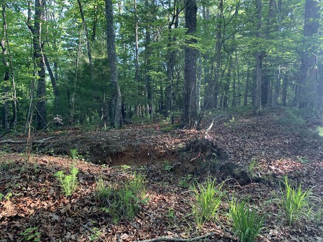 00 Lady Lane, Murphy, NC 28906