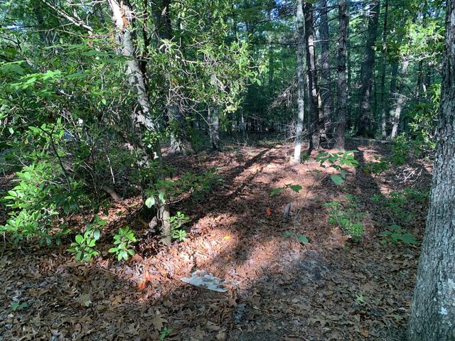 00 Lady Lane, Murphy, NC 28906