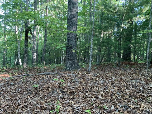00 Lady Lane, Murphy, NC 28906