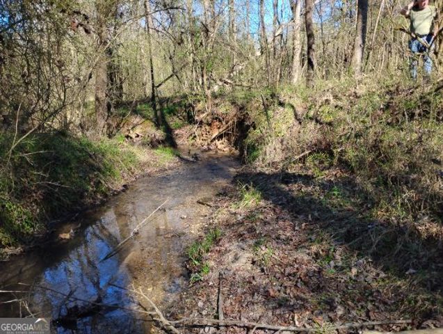 2331 Kesler Rd, Carnesville, GA 30521