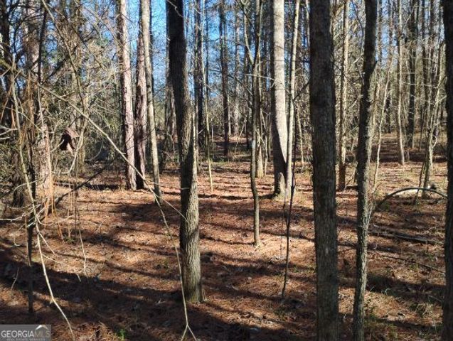 2331 Kesler Rd, Carnesville, GA 30521