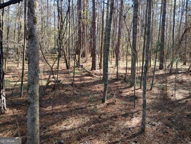 2331 Kesler Rd, Carnesville, GA 30521