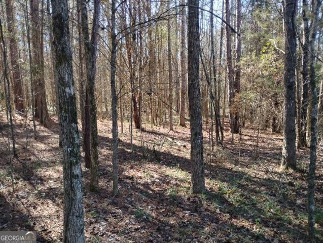 2331 Kesler Rd, Carnesville, GA 30521