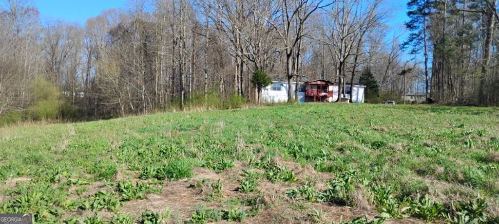 2331 Kesler Rd, Carnesville, GA 30521