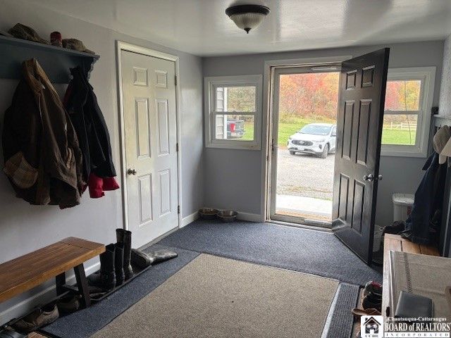 7385 TOAD HOLLOW RD, Mansfield, NY 14755