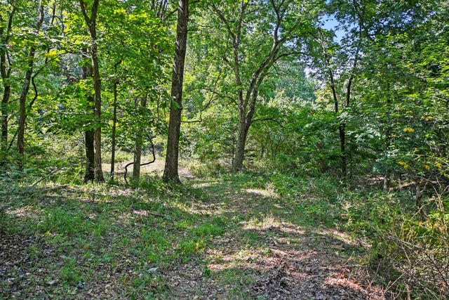 1477 Bell Ford Road, Marshfield, MO 65706