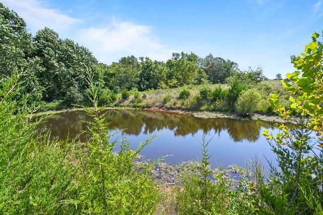 1477 Bell Ford Road, Marshfield, MO 65706