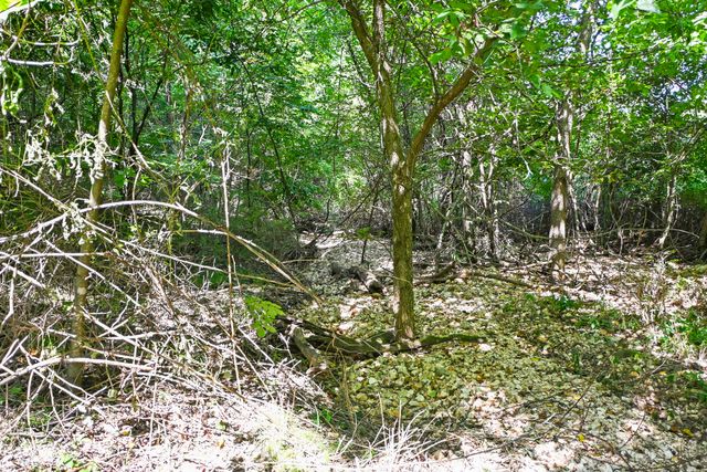 1477 Bell Ford Road, Marshfield, MO 65706