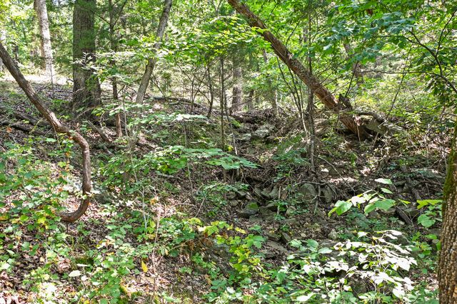 1477 Bell Ford Road, Marshfield, MO 65706