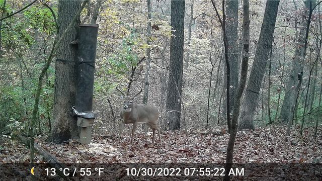 4426 Reed Avenue, Lowell, AR 72745