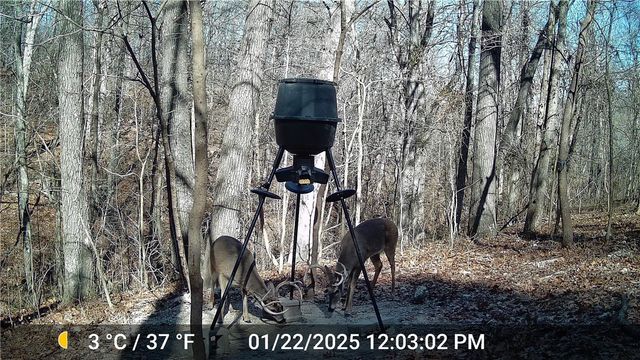 4426 Reed Avenue, Lowell, AR 72745