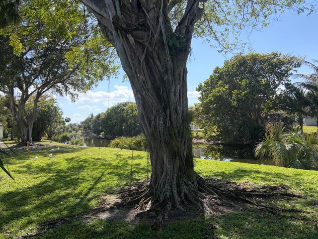 2051 NW 46th Avenue F202, Lauderhill, FL 33313