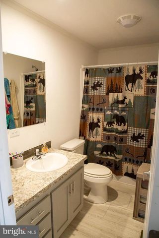 1101 BEAVER RUN RD, Burlington, WV 26710