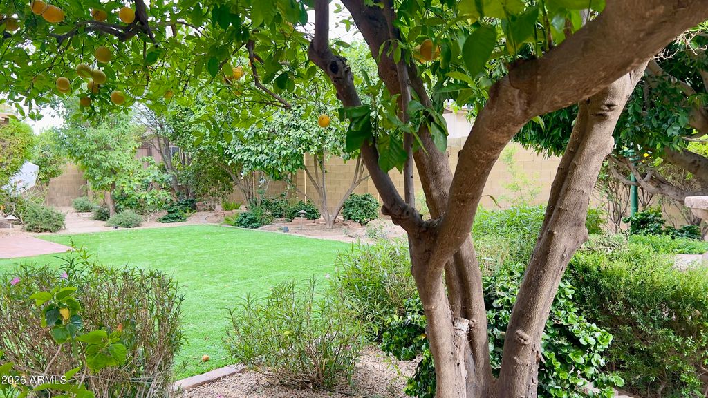 Image 43 of property listing at 801 W MICHELLE Drive, Phoenix, AZ 85023