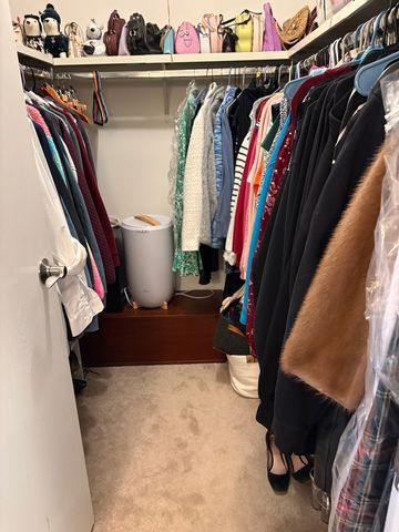 5806A Wolf Road 4, Western Springs, IL 60558