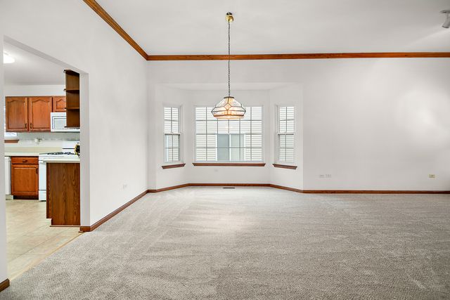 21327 W Redwood Drive, Plainfield, IL 60544