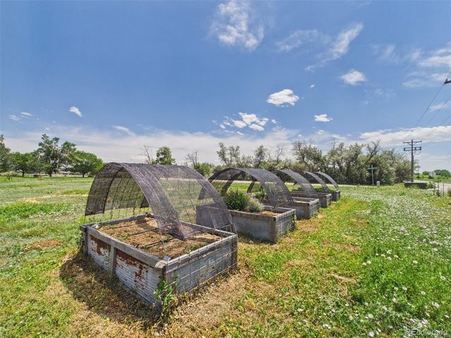 8042 Silver Birch Blvd, Frederick, CO 80504