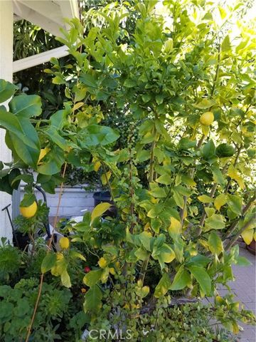 5920 Carell Ave., Agoura Hills, CA 91301