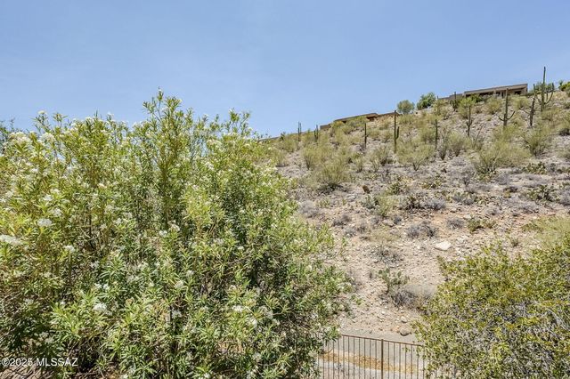 4219 N Ocotillo Canyon Drive, Tucson, AZ 85750