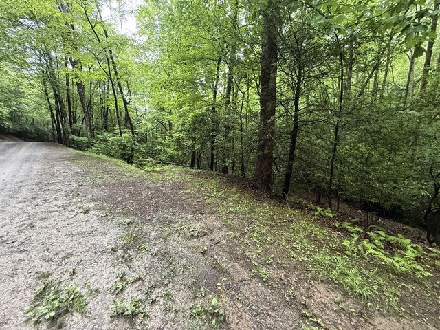 Lot 28 Atoah Loop, Murphy, NC 28906