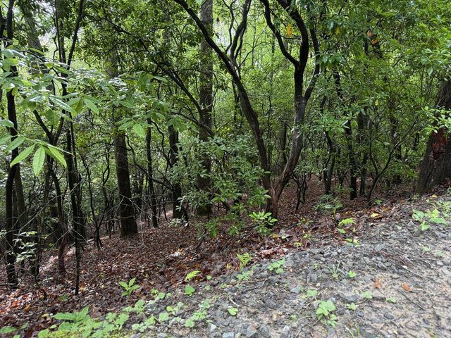 Lot 28 Atoah Loop, Murphy, NC 28906