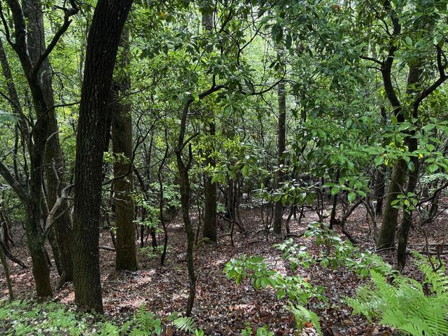 Lot 28 Atoah Loop, Murphy, NC 28906
