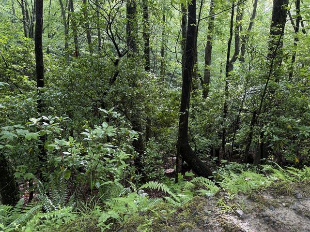 Lot 28 Atoah Loop, Murphy, NC 28906