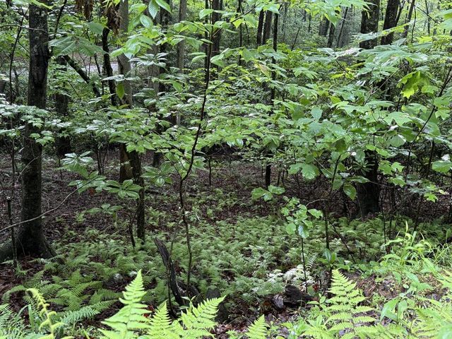 Lot 28 Atoah Loop, Murphy, NC 28906