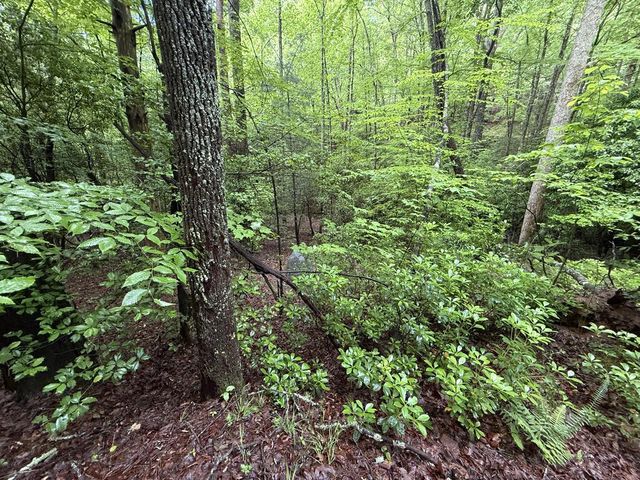 Lot 28 Atoah Loop, Murphy, NC 28906