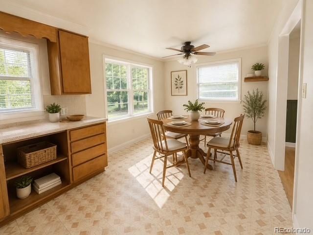 1461 Phillips Dr, Denver, CO 80233