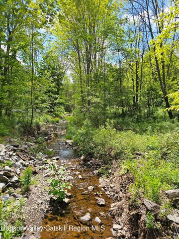 143 Gulf Road, Rensselaerville, NY 12147