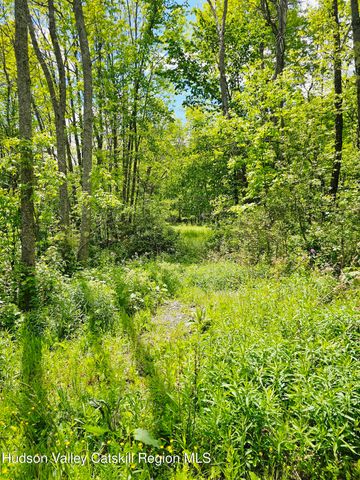 143 Gulf Road, Rensselaerville, NY 12147